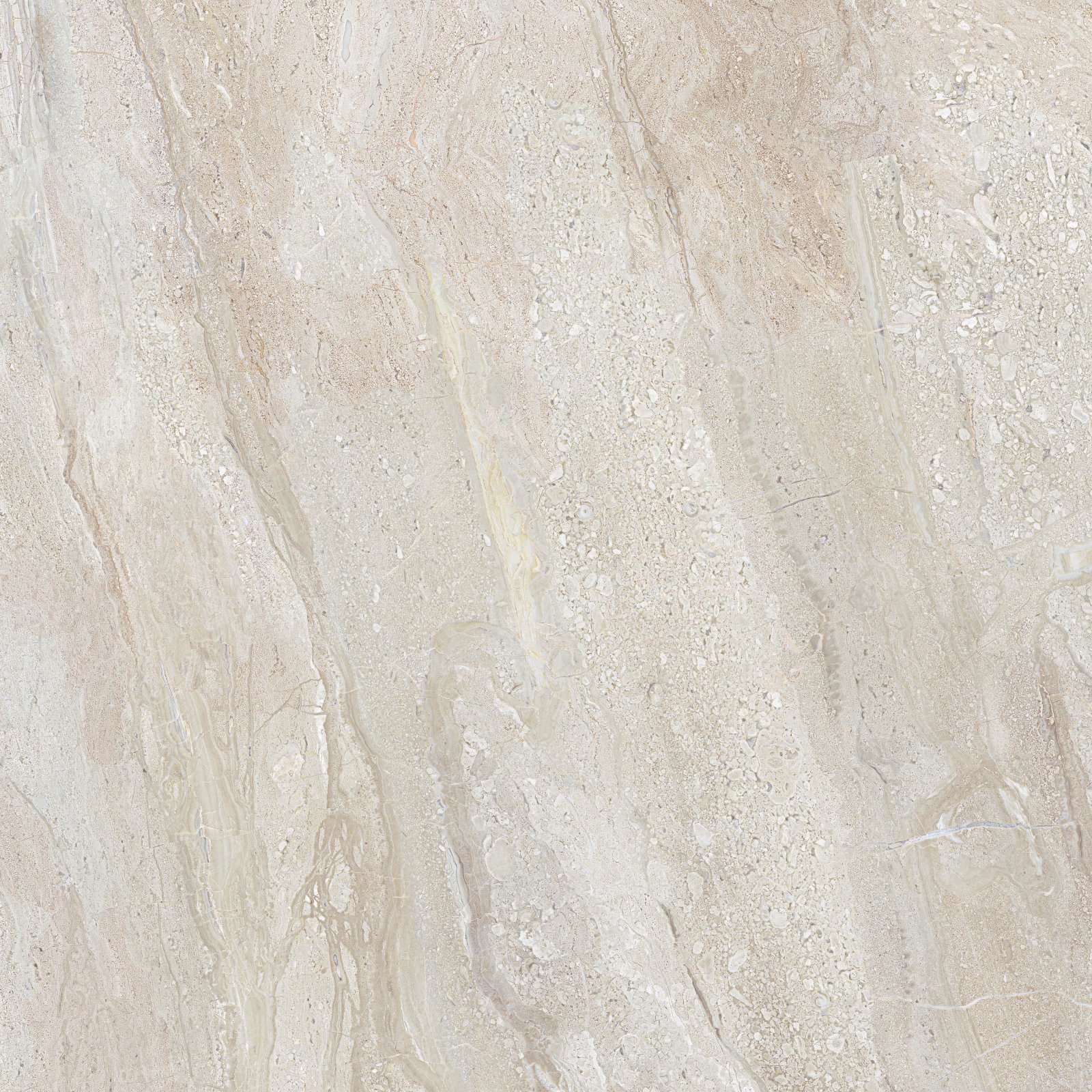 PLATINUM 50X50 HILTON CREAM